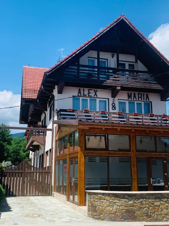 Отель Alex & Maria Carpinisu Экстерьер фото